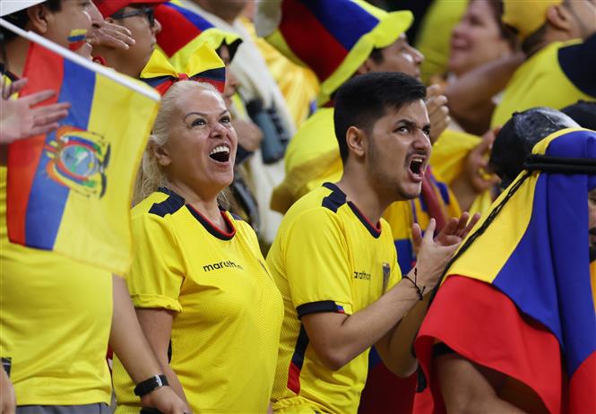 Các cổ động viên Ecuador cổ vũ đội nhà trong trận gặp Qatar tại bảng A World Cup 2022 trên Sân vận động Al-Bayt ở Al Khor, Qatar, ngày 20/11/2022. Ảnh: THX/ TTXVN