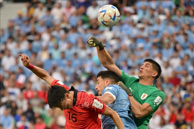 Các cầu thủ Hàn Quốc nhập cuộc đầy quyết tâm và có pha uy hiếp đầu tiên lên khung thành thủ môn Uruguay. Ảnh: AFP/TTXVN