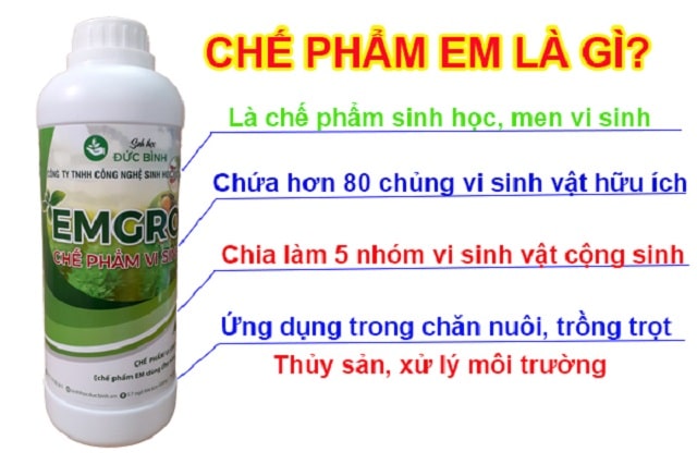 Chế phẩm EM  mang đến nhiều giá trị to lớn cho nền nông nghiệp Việt Nam.