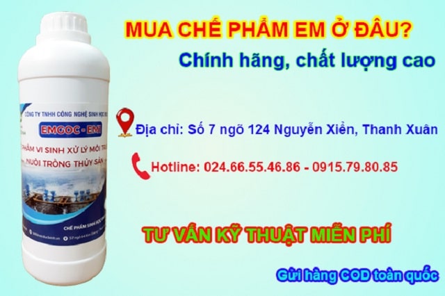 Vinong Sinh học Đức Bình: Tự hào dẫn đầu thị trường phân phối chế phẩm Việt Nam.