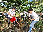 Gần 700 tình nguyện viên tham gia 'Clean up Son Tra - Vì một Sơn Trà xanh'