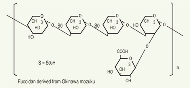 Nguồn: Viện nghiên cứu Fucoidan NPO (Nhật Bản) www.fucoidan-life.com
