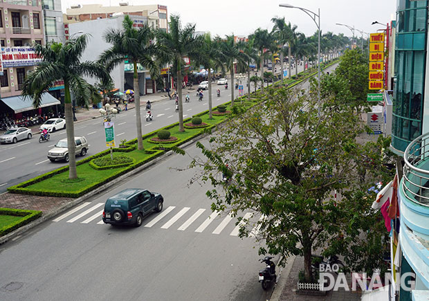 Màu xanh mát mắt của hàng dừa làm dịu đi sự oi bức, ồn ào của phố thị và là một trong những điểm nhấn nổi bật của con đường Điện Biên Phủ.