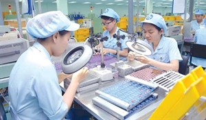 Workers make small motors at a factory run by the Mabuchi Motor Vietnam Co. in Dong Nai Province 