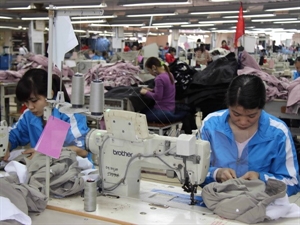 Garments grew 25.9 percent yearly to hit 492.51 million USD.