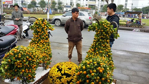 A pair of goat-shaped kumquat trees priced at 7 million VND