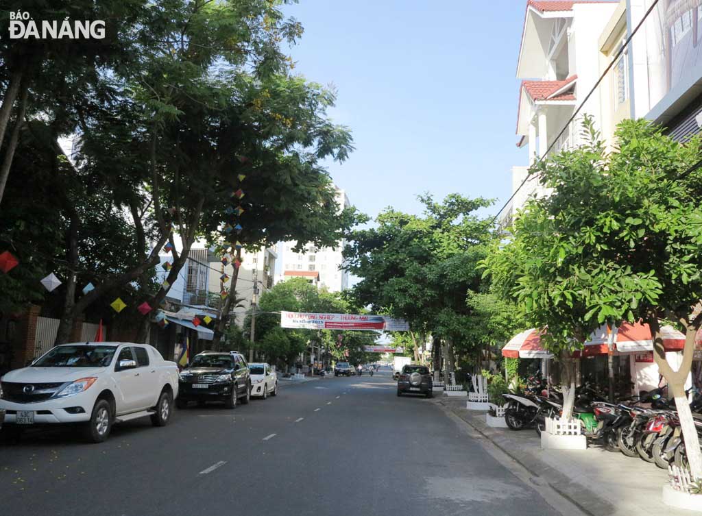 Hàng cây trải dài cung đường Nguyễn Du gắn bó với nhiều ký ức trong tác giả