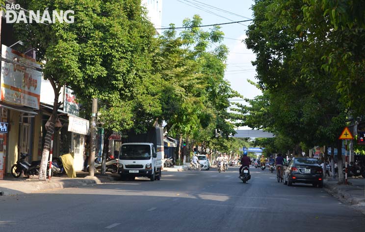 Những hàng cây mới trồng đang trổ tán xanh mát trên đường Nguyễn Thị Minh Khai.   