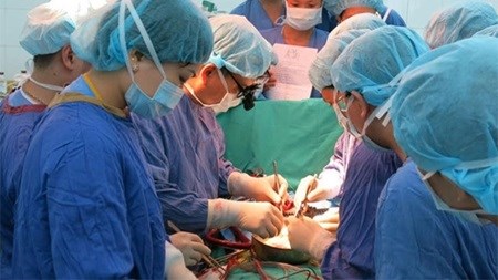 Organs harvested from a brain-dead patient have saved the lives of four people. (Source: thanhnien.com)