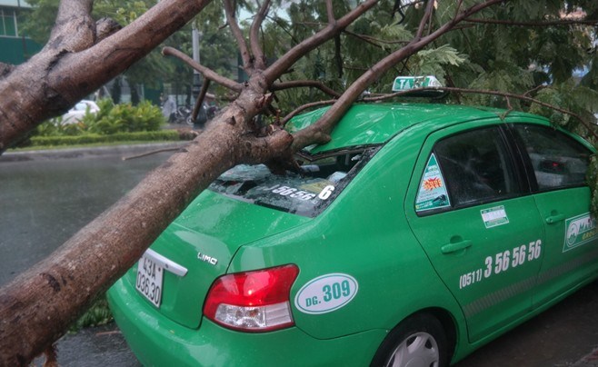 Chiếc taxi bị cây xanh ngã đè lên lúc 11h trưa trước cổng ĐH Duy Tân. Ảnh: Zing