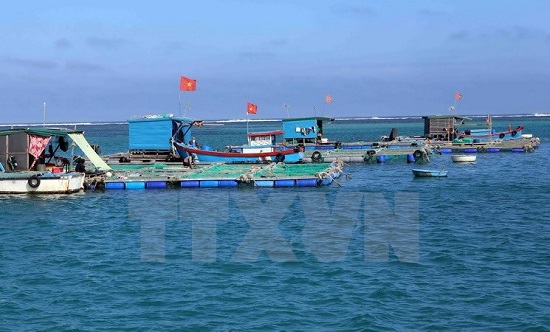 Seafood farming cages of the islanders (Photo: VNA)