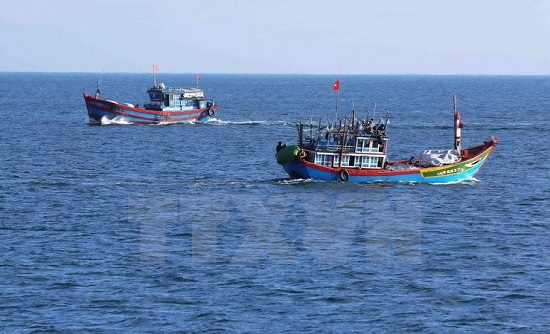 Boats leave Ly Son for fishing trips (Photo: VNA)