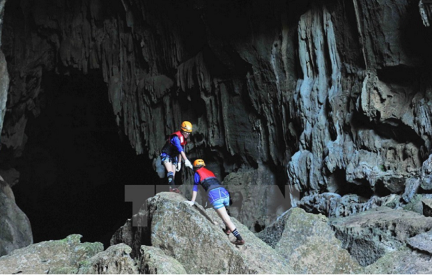 The tour begins with the exploration of E Cave, located deep in the park’s thick forest and covered by a unique stalactite system. Photo: VNA