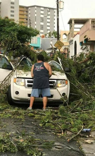 Cây cối đổ rạp đè lên xe cộ của người dân Puerto Rico
