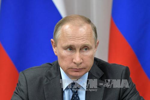 Tổng thống Nga Vladimir Putin trong cuộc họp ở Novobureisky, Nga ngày 3/8. Ảnh: EPA/TTXVN