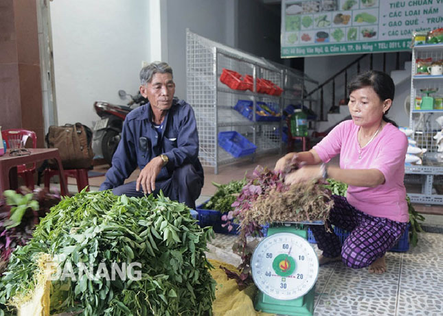 Made-in-Hoa Vang District agricultural products on sale across the city 