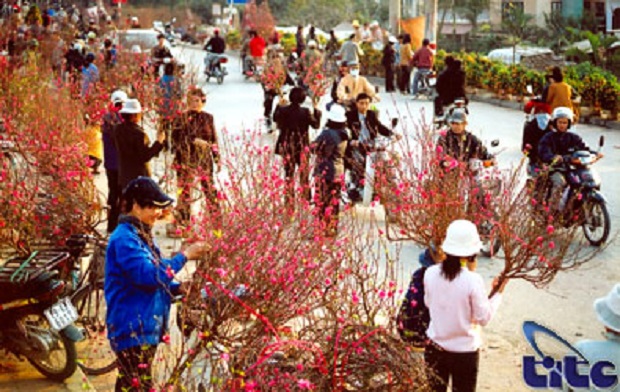 Busy trading atmosphere at a Tet flower market