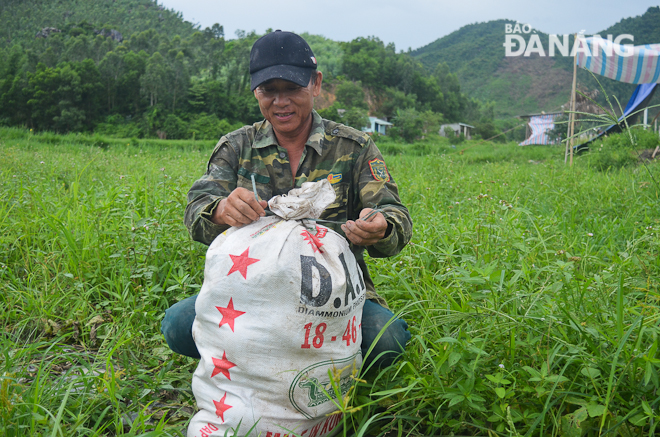 Ông Nguyễn Xuân Đàn, một trong những người trồng dưa ở Trường Định không giấu được sự thất vọng. Đây là vụ mùa thứ hai liên tiếp, người trồng dưa ở Trường Định lâm vào cảnh trắng tay. 