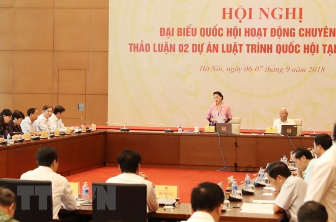 NA Chairwoman Nguyen Thi Kim Ngan addresses the conference (Photo: VNA)