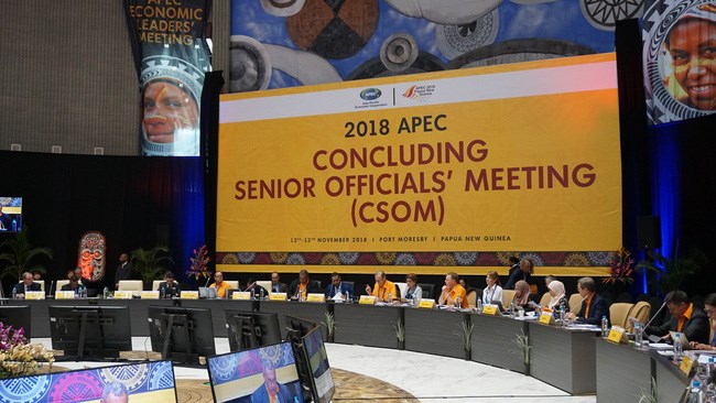 A delegation of Vietnam attended the Concluding Senior Officials’ Meeting (CSOM) of the Asia-Pacific Economic Cooperation (APEC), which took place in Port Moresby, Papua New Guinea on November 12-13 (Photo: vtv.vn)
