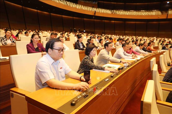 Đoàn Đại biểu Quốc hội thành phố Hà Nội biểu quyết thông qua Luật sửa đổi, bổ sung một số điều của Luật Giáo dục đại học. Ảnh: Phương Hoa/TTXVN