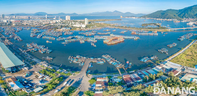 Cảng cá Thọ Quang nhìn từ trên cao