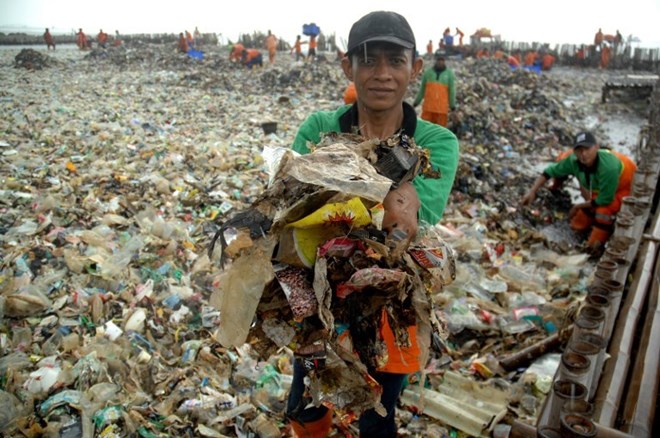 Workers clear up garbage piling up in Jakarta Bay area as part of the earliest local government combat against waste on its waters. (Source: (AFP/Dasril Roszandi)