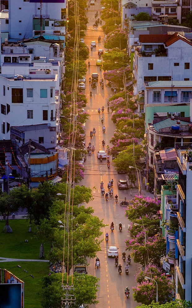 ‘Con Duong Bang Lang’ (The Lagerstroemia Street) by Le Quang Thien