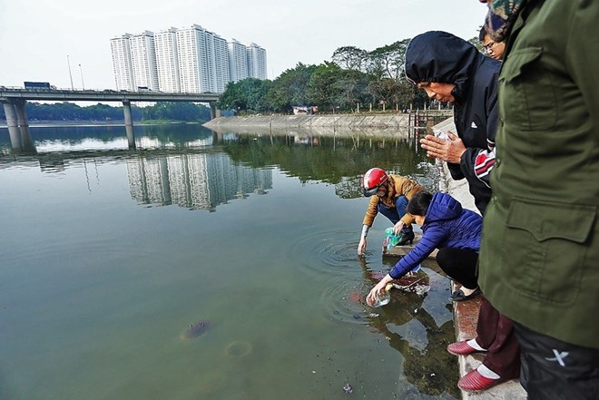 People release live carps into lakes and pray for good luck (Photo: VNA)