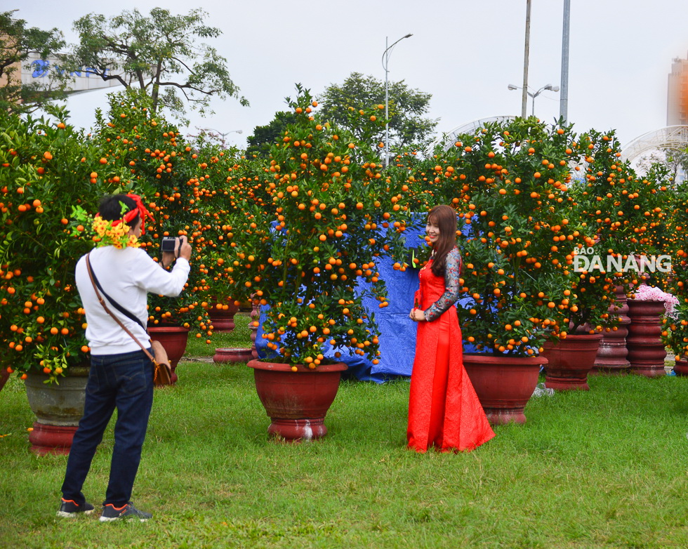 A girl posing for a souvenir photo with beautiful kumquat trees.