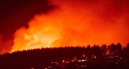 Cháy rừng dữ dội tại New Zealand, hàng nghìn người sơ tán