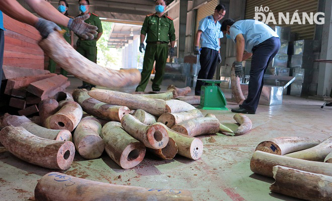 Bắt giữ hơn 9,1 tấn hàng hóa nghi là ngà voi