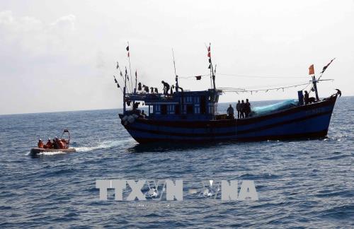 Chìm tàu vận tải chở nhu yếu phẩm ra đảo Lý Sơn