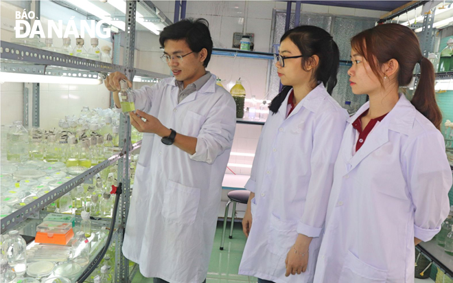 Dr Trinh Dang Mau introducing microalgae farming technologies