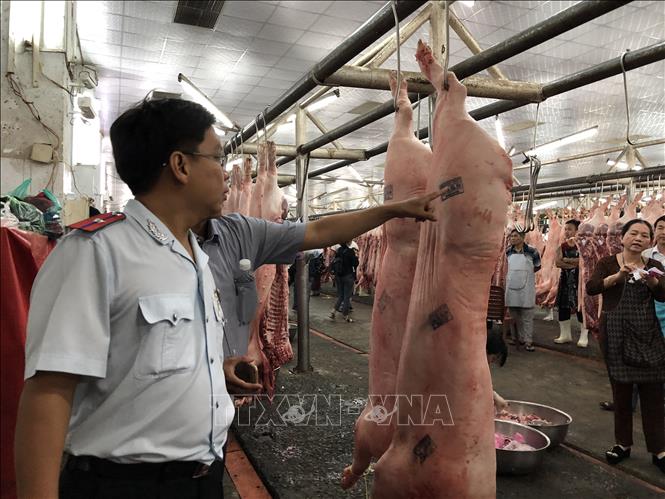 Hướng dẫn biện pháp khẩn cấp về quản lý giết mổ, tiêu thụ sản phẩm lợn