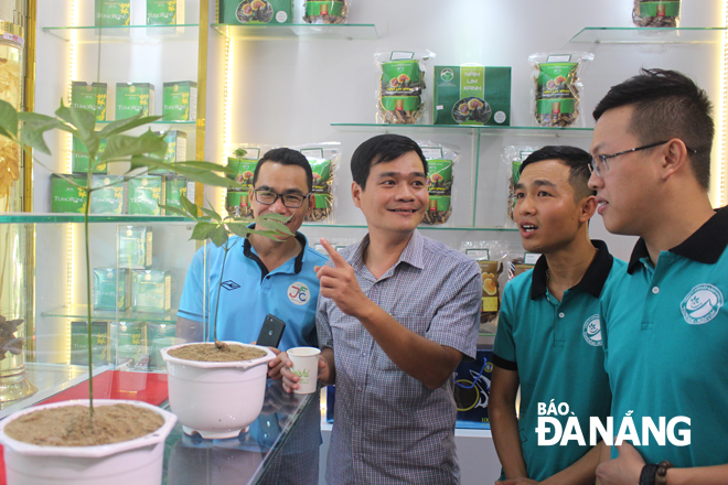 Trưng bày củ Sâm Ngọc Linh lớn nhất Việt Nam