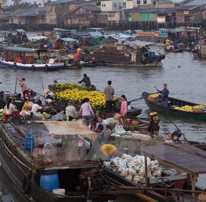 Bustling trading on the Cai Rang Floating Market (Source: VNA)