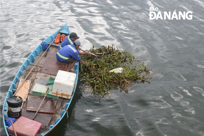 Employees from the Da Nang Urban Environment Joint Stock Company collecting domestic waste and water hyacinth floating on the Ha River