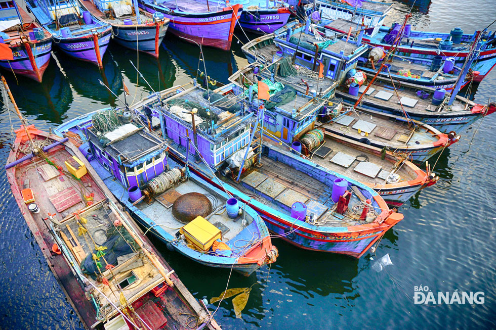 32 tỷ đồng nâng cấp Cảng cá Thọ Quang