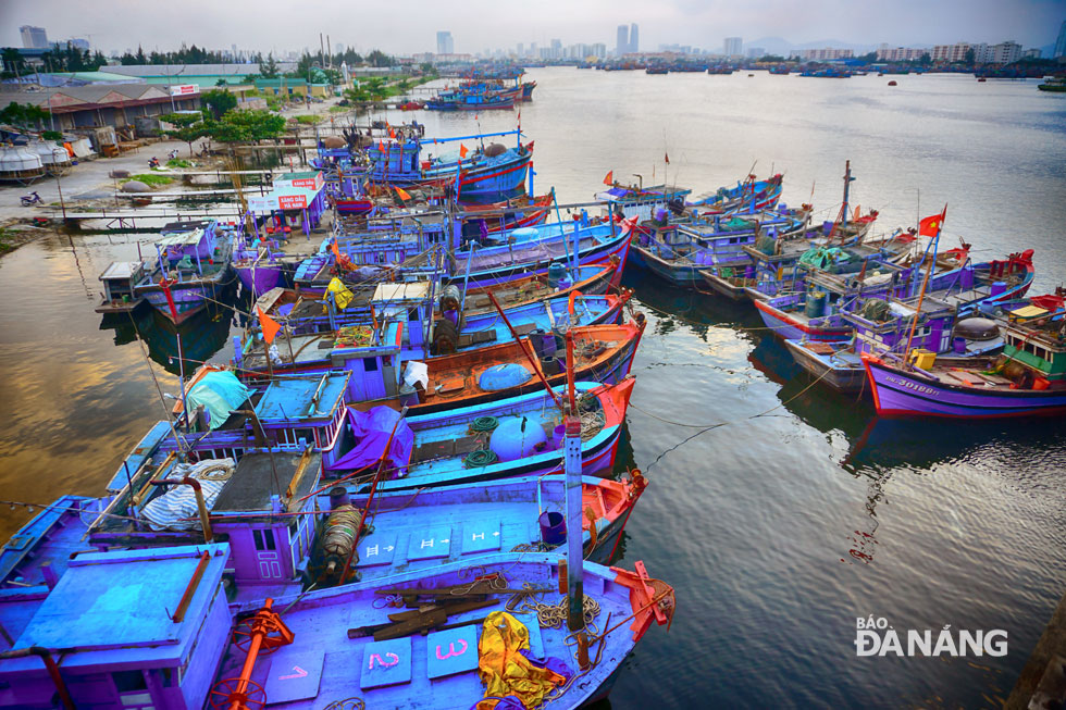 Cải thiện môi trường ở khu vực âu thuyền, cảng cá Thọ Quang