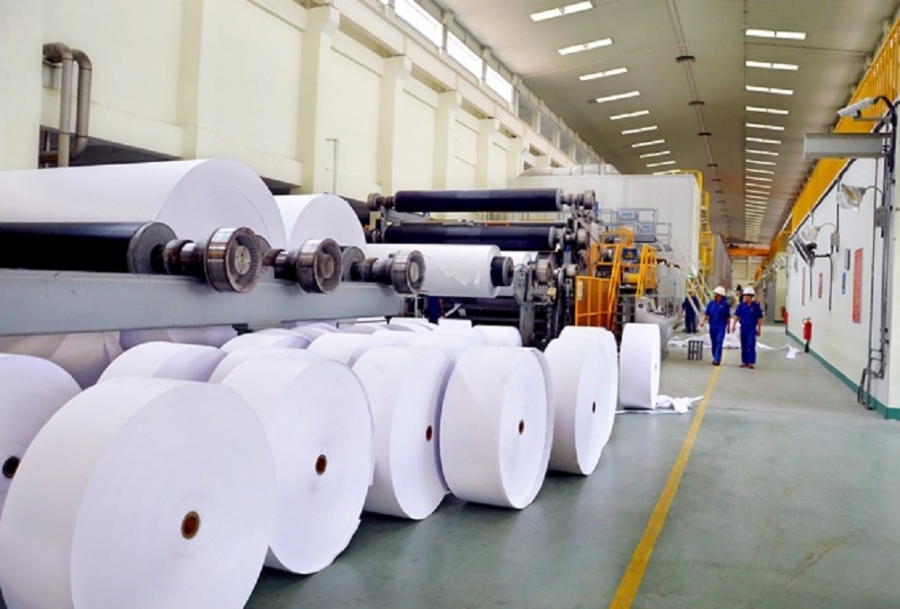 Ngành công nghiệp giấy - bột giấy khu vực Đông Nam Á mất cân đối cung- cầu