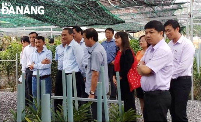Lãnh đạo thành phố thăm vườn lan của gia đình nông dân trẻ Lê Thành Trung.