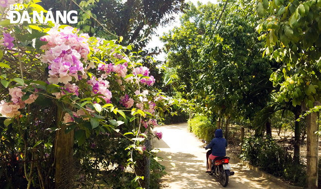 Đường làng rợp bóng mát và hương sắc các loại hoa.
