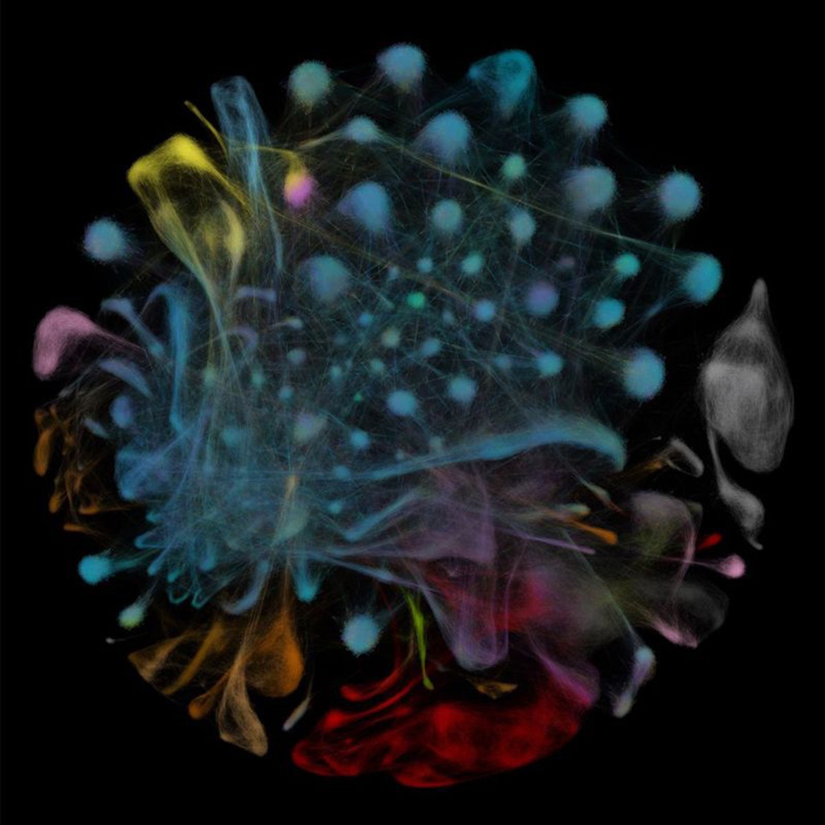 Mỗi chấm nhỏ trong hình tròn sặc sỡ này đại diện cho một trong số 100.000 tế bào của loài khỉ Macaca mulatta. Những tế bào có đặc điểm tương tự tụ lại với nhau và mỗi màu đại diện cho các mô khác nhau như tuyến ức và hạch bạch huyết (màu xanh) hay tủy xương (màu đỏ). Hình ảnh được chụp bởi Viện Ung thư Dana-Farber, Mỹ.