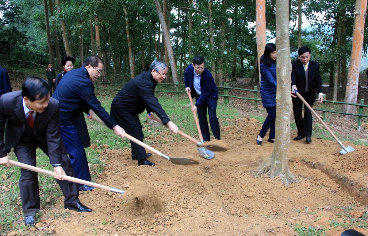 Thường trực Ban Bí thư dự Lễ phát động Tết trồng cây tại Tuyên Quang