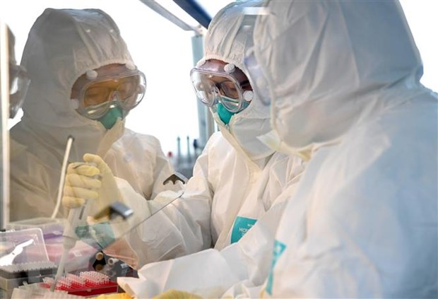 Nhóm nghiên cứu phân tích mẫu bệnh phẩm của bệnh nhân nhiễm virus SARS-CoV-2 tại phòng thí nghiệm ở Hà Nam, Trung Quốc ngày 4/2/2020. (Nguồn: THX/TTXVN)