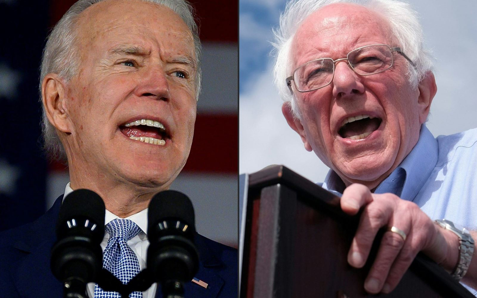 Cựu Phó Tổng thống Joe Biden (trái) và Thượng nghị sĩ Bernie Sanders. Ảnh: Telegraph
