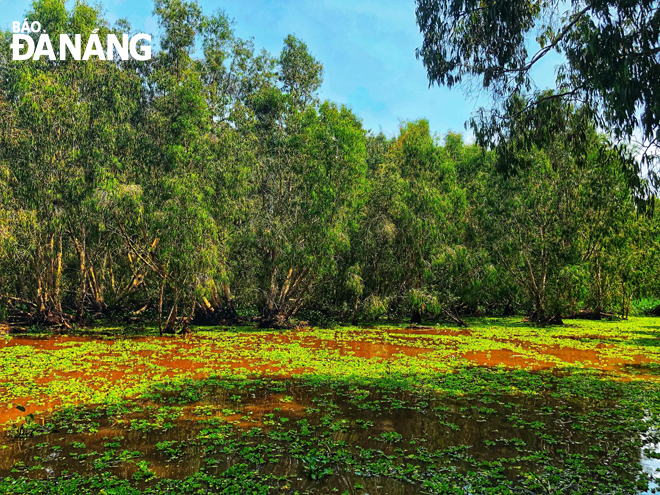 Đây là nơi sinh sống của nhiều loài động, thực vật quý thuộc hệ thống rừng đặc dụng Việt Nam.