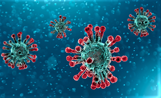 Khía cạnh sinh học của coronavirus vẫn đang là điều bí ẩn; Nguồn: listverse