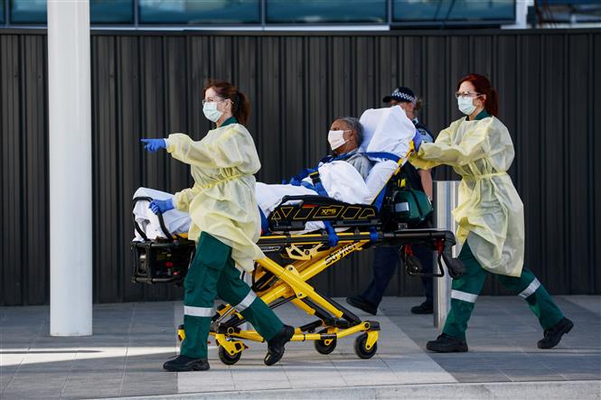  Nhân viên y tế chuyển bệnh nhân mắc COVID-19 tại Adelaide, Australia ngày 21/4/2020. Ảnh: AFP/TXVN
